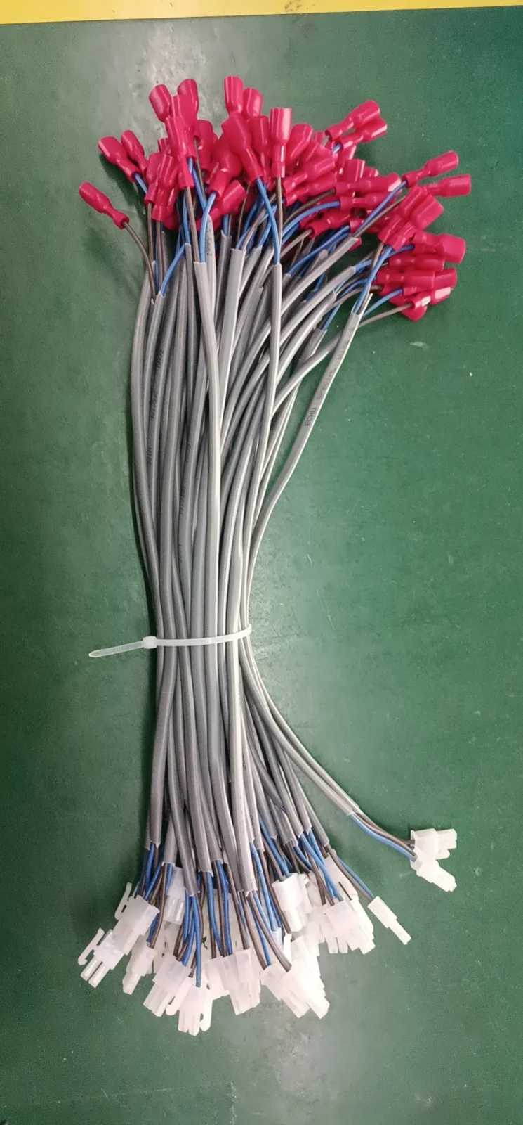 Multi-Core Cable Assembly